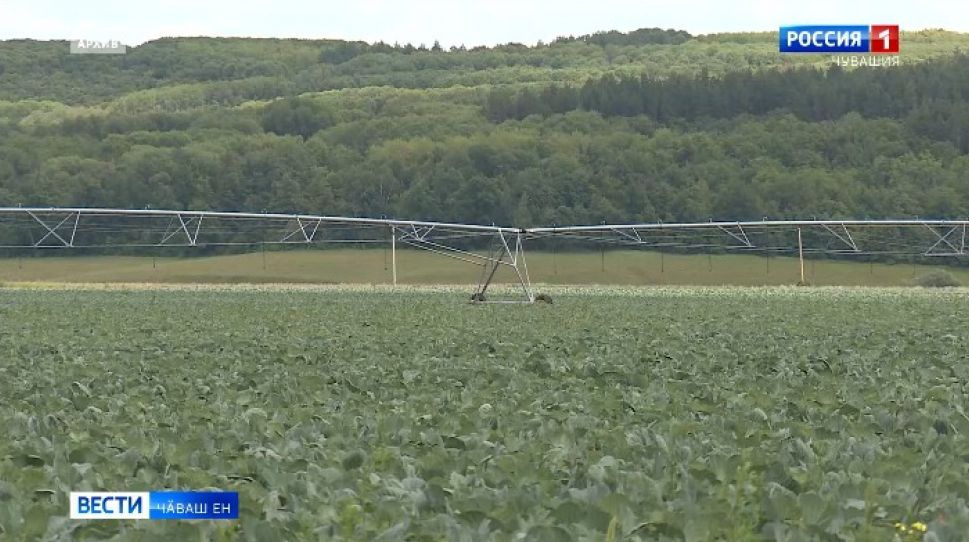 Ял хуҫалӑх министерстви грант илес текенсенчен документсене йышӑнма пуҫланӑ
