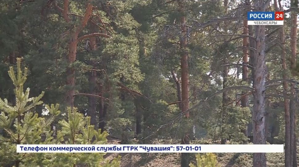   Чувашия готовится к летнему сезону  