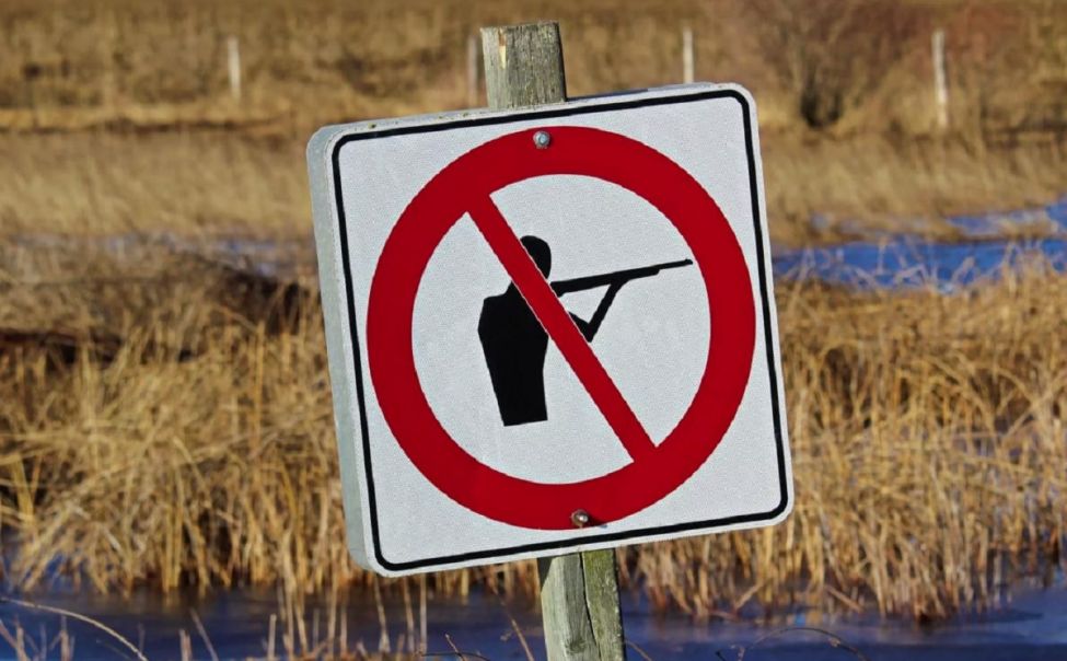  В Чувашии из-за COVID-19 запрещена охота 