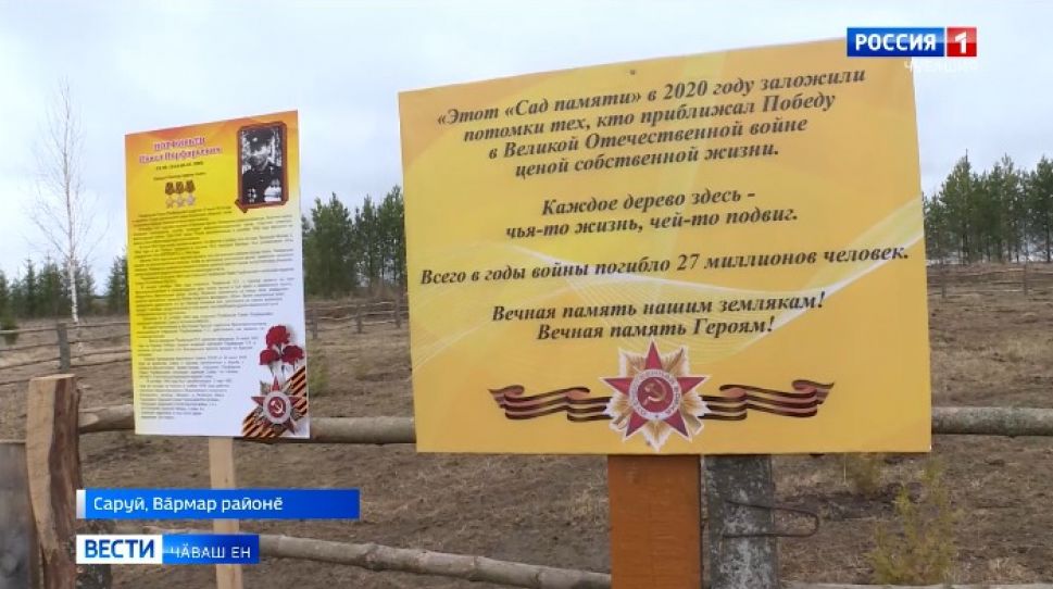 Паттӑрсен ячӗпе йывӑҫ-тӗм ешерӗ