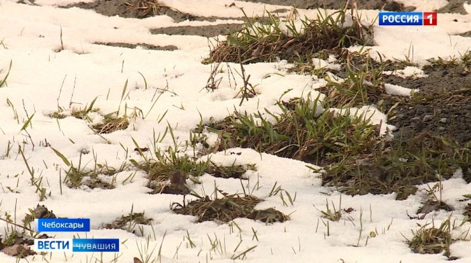«Зимняя» погода не спешит покидать Чувашию