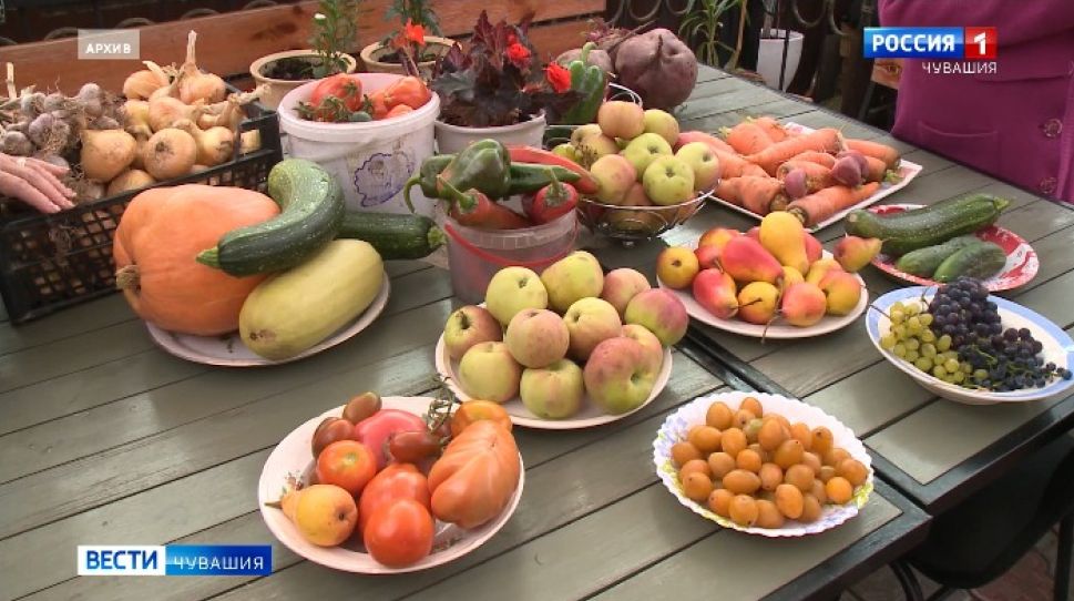   В Чувашии будут работать над улучшением инфраструктуры для садоводов  