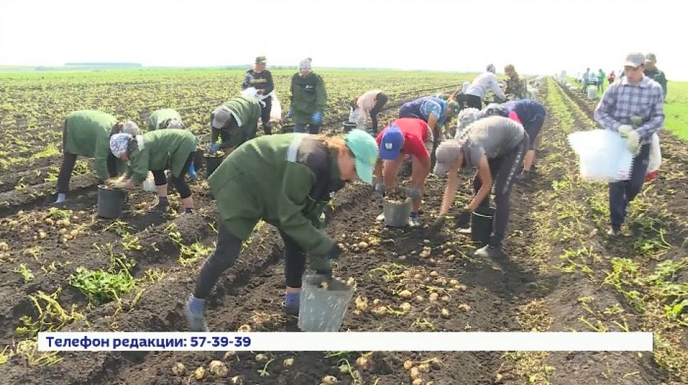 Минсельхоз Чувашии ответил на вопросы о выездах на дачу