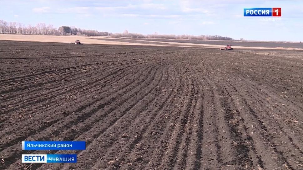Погодные условия сдерживают темп сева в Чувашии