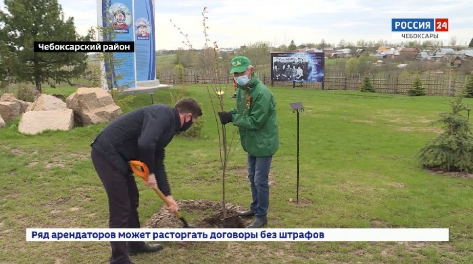 В Чебоксарском районе будут посажены 4 тысячи деревьев для "Садов памяти"