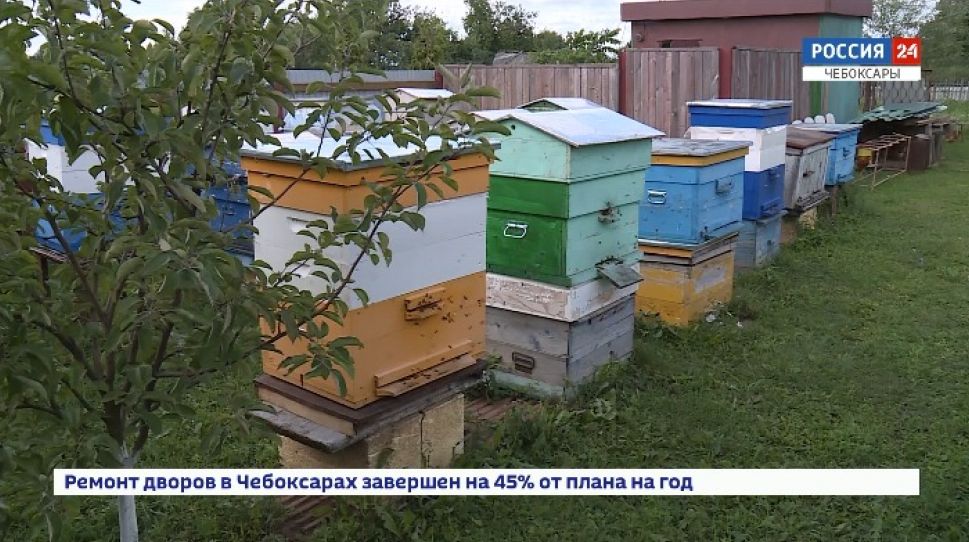 В Чувашии появилась интерактивная карта пчеловодства