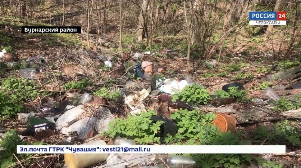 Вурнарская молодежь провела  массовый  субботник  