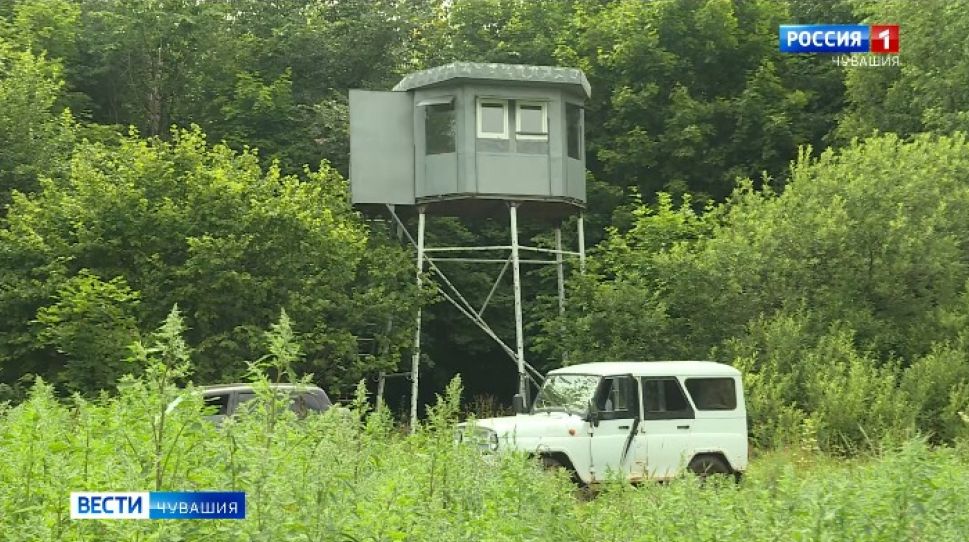 Разрешение на охоту в весенний период в Чувашии перенесут на следующий
