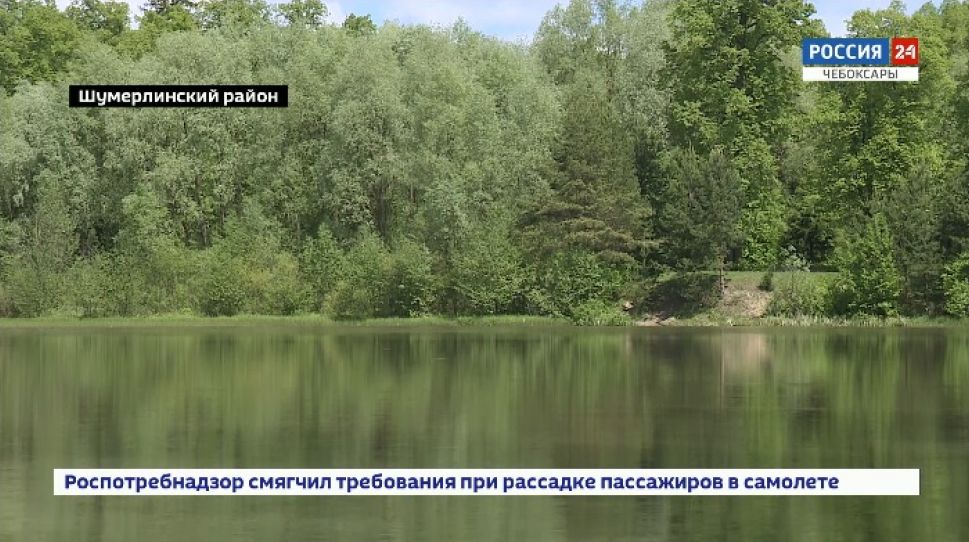 Статуевский пруд станет местом купания в Шумерле