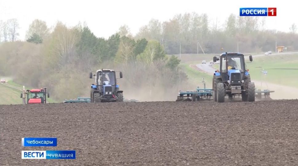 В Чувашии выполнен план сева яровых,зерновых и зернобобовых культур