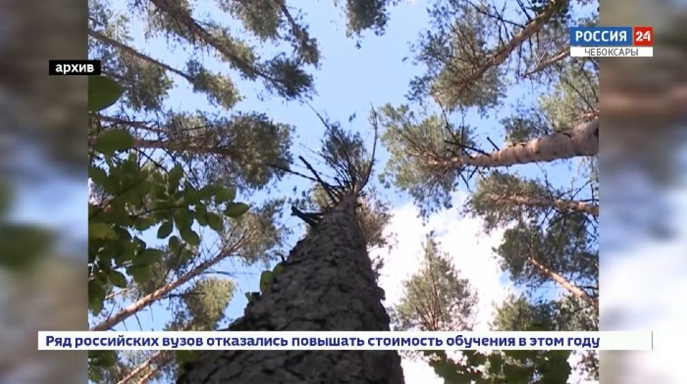 О поправках в конституцию, касающихся экологии