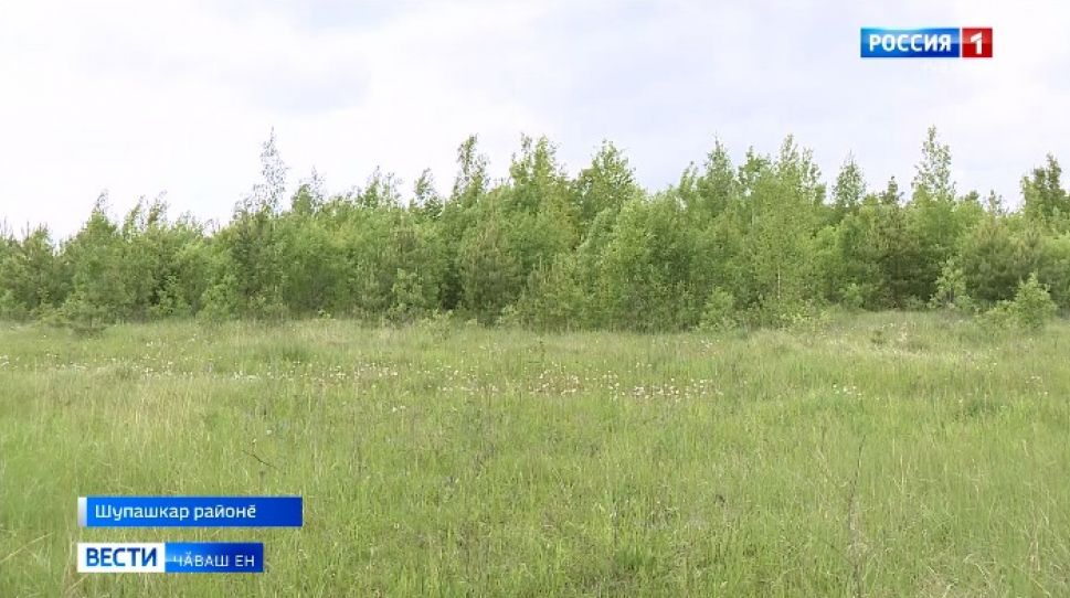 Республикӑра иккӗмӗш уйӑх пушара хирӗҫ кӗрешмелли ҫирӗп йӗркене пӑхӑнаҫҫӗ 