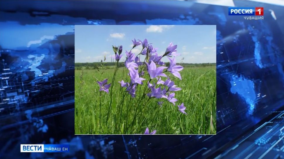 Паян - ҫут ҫанталӑка упрамалли пӗтӗм тӗнчери кун 