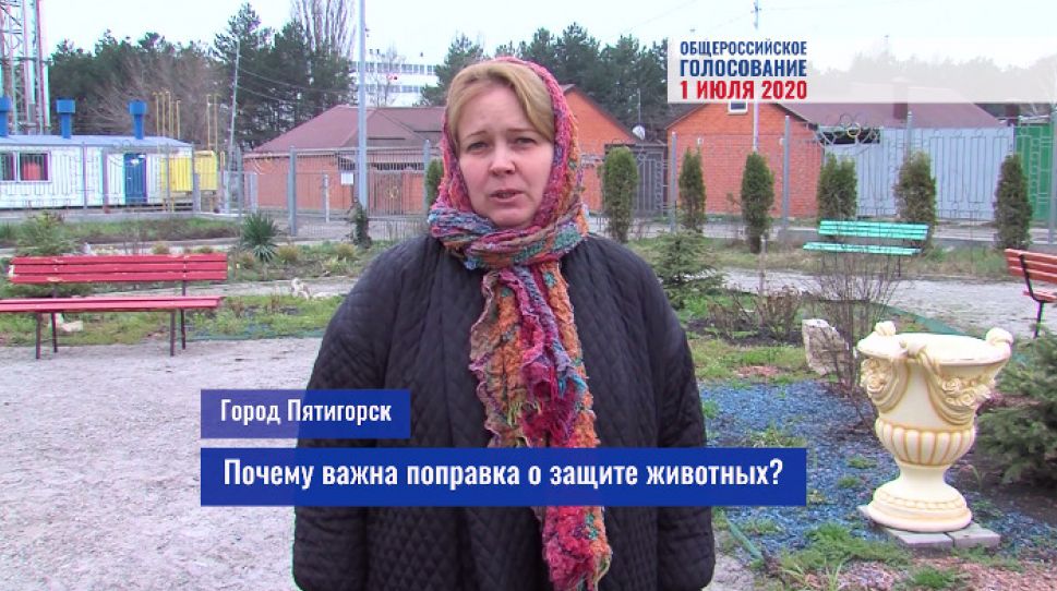 Владимир Путин одобрил закрепление в Конституции нормы о защите животных 