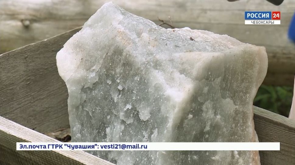 Лосей в Чувашии подкормили лизунцом