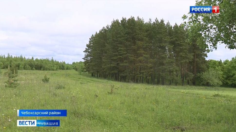 В Чувашии Россельхознадзор проверил земли сельхозназначения вблизи лесов