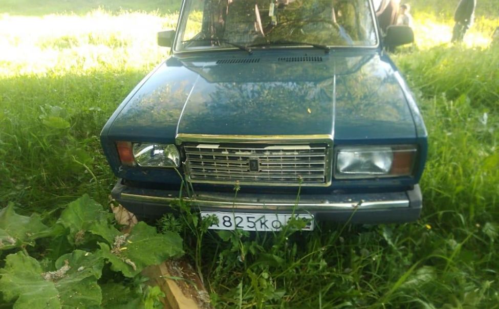 В Альгешево ребенок на "семерке" сбил 2-х человек