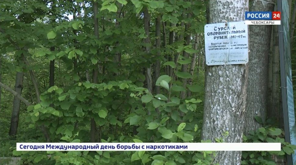 В Чувашии обозначили направления патриотического воспитания 