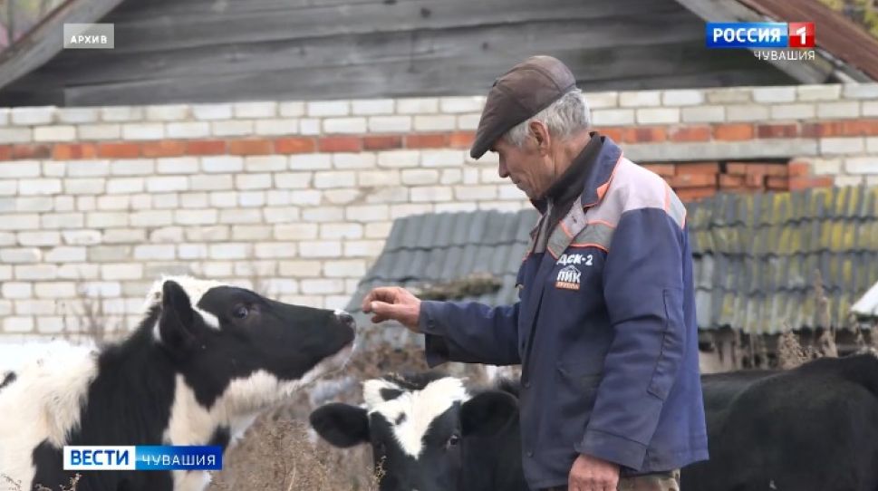 На поддержку АПК Чувашии из бюджета выделят 3,3 млрд. рублей 