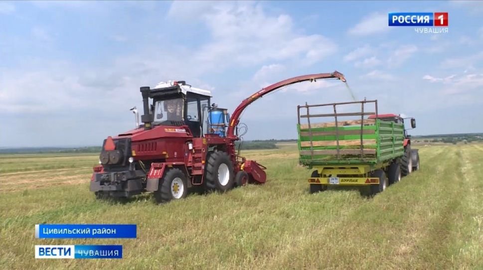 Заготовка кормов сельхозпредприятиями Чувашии завершена наполовину