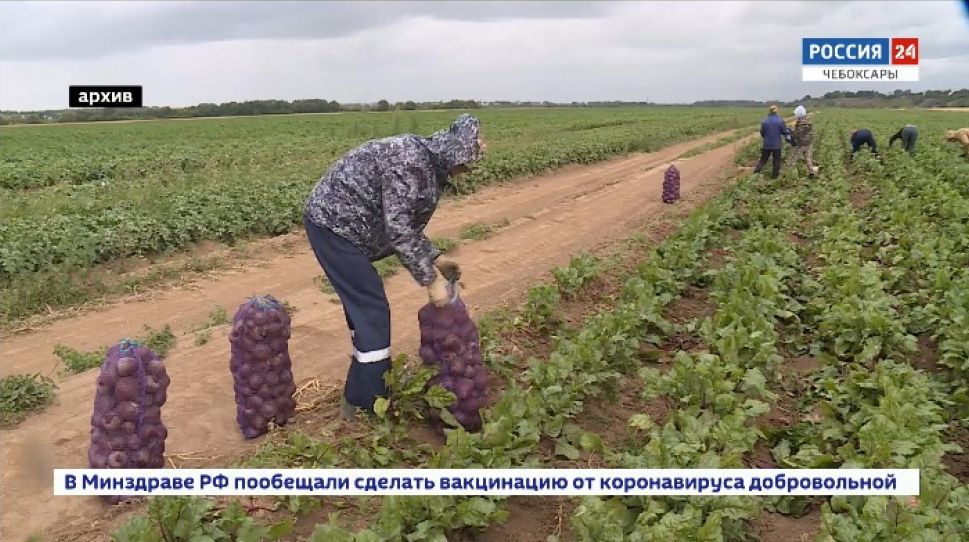 Филиал Центральной научной ветлаборатории появится в Чувашии 