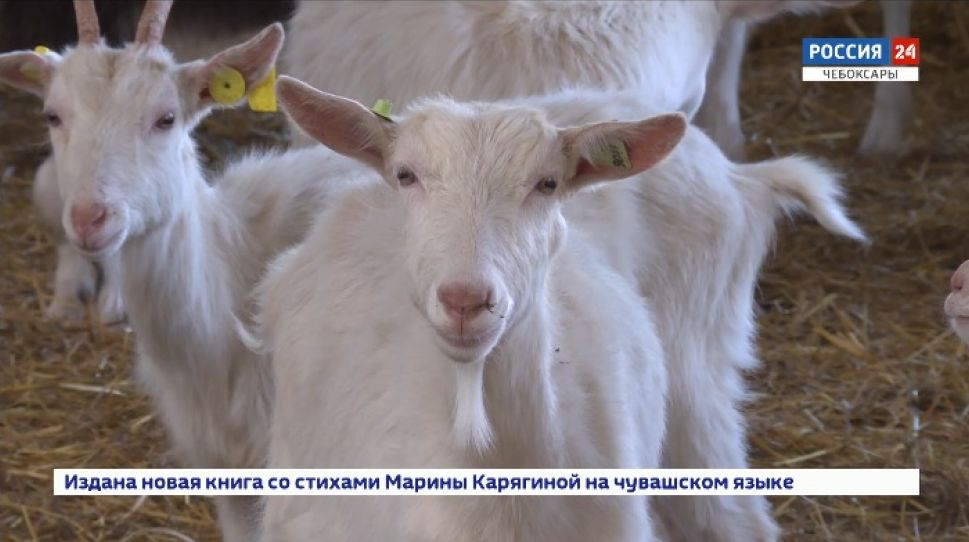 11 фермеров Чувашии получили грант «Агростартап»