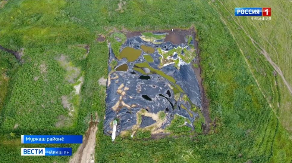 Муркаш районӗнчи пӗр ялта пурӑнакансем таврана тасамарлӑх сарӑлнипе нушаланаҫҫӗ