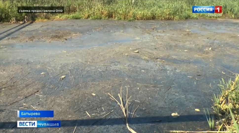 В Батырево 2 гектара земли загрязнены нечистотами