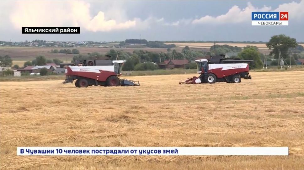 В Чувашии стартовала уборочная кампания