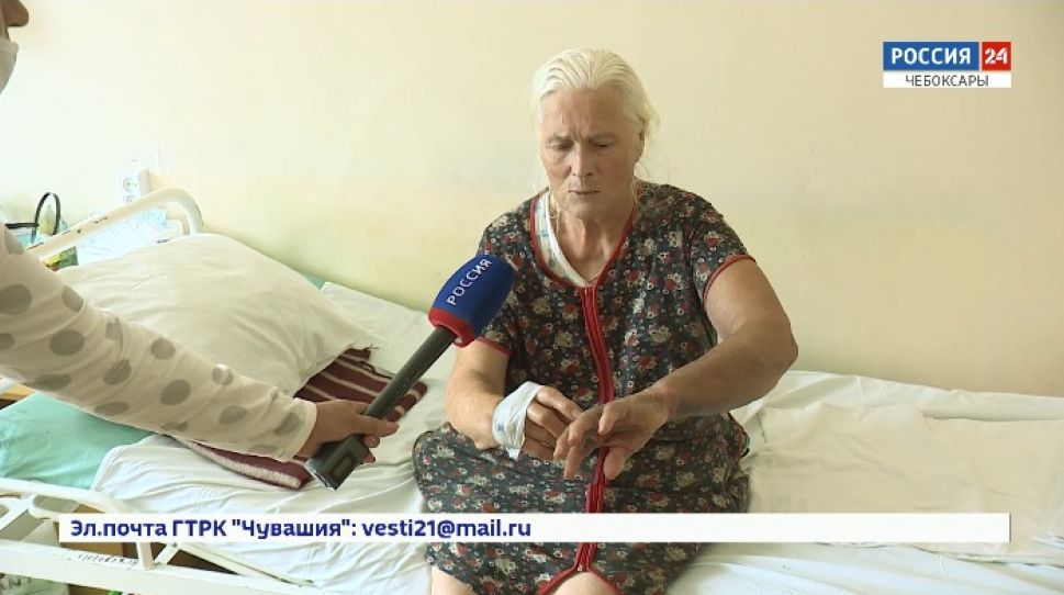 13 жителей Чувашии обратились за медицинской помощью после укуса змей за последний месяц