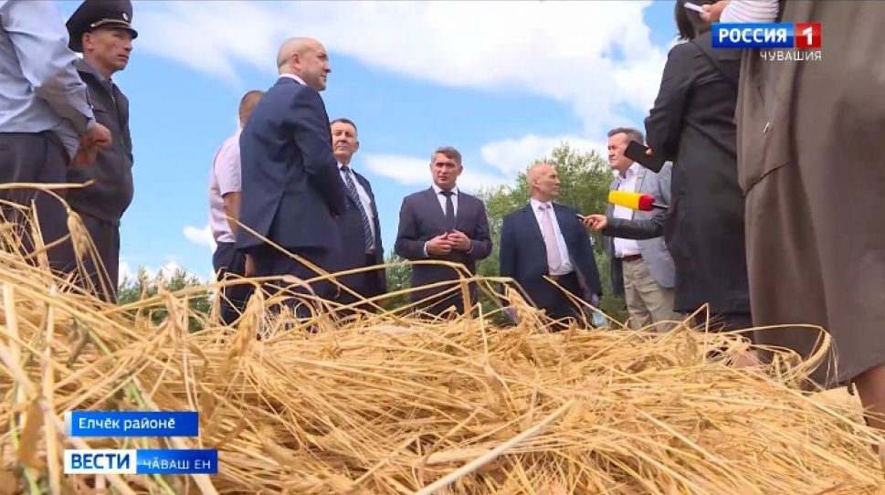 Чӑваш Енре вырма пуҫланнӑ