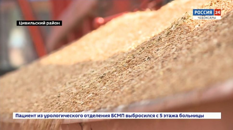 Аграрии Чувашии начали уборку зерновых и зернобобовых культур