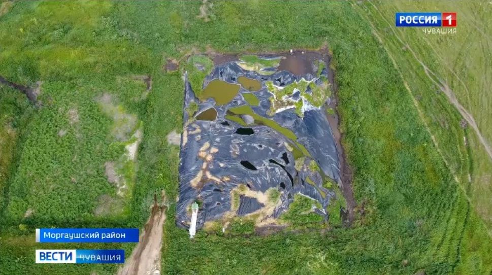 Прокуратура выявила в Моргаушском районе экологические нарушения