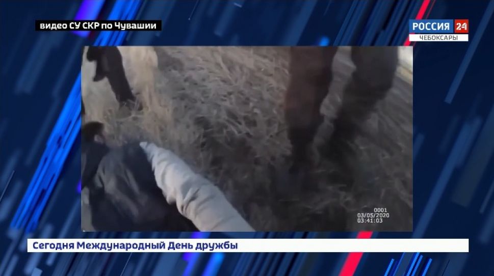 Двух жителей Янтиковского района оштрафовали за нападение на сотрудника ДПС