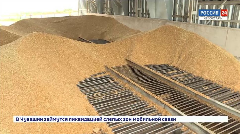 Аграрии Чувашии ожидают собрать в этом году рекордный урожай зерновых культур