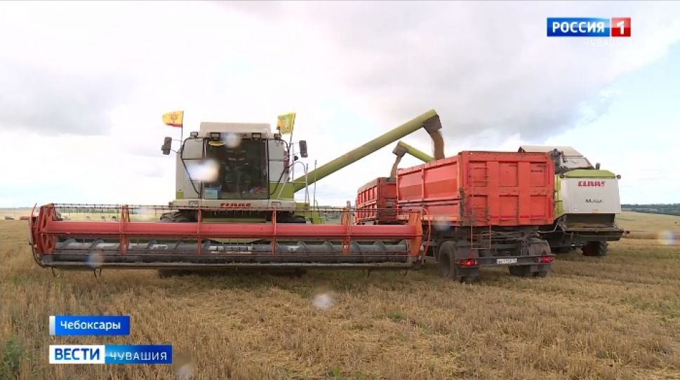 В Чувашии в 2020 году планируют собрать урожай зерновых с 300 тыс. гектаров