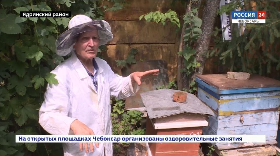 Ядринский ученый-садовод нашел уникальный способ борьбы с вредителями