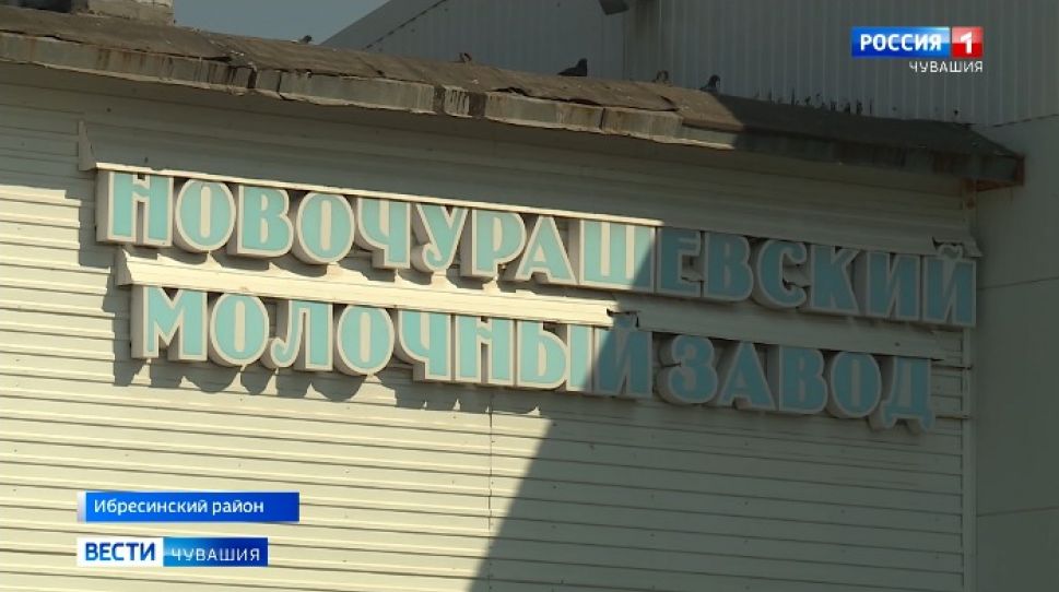 В Чувашии новая сыроварня будет выпускать 450 тонн сыров в месяц