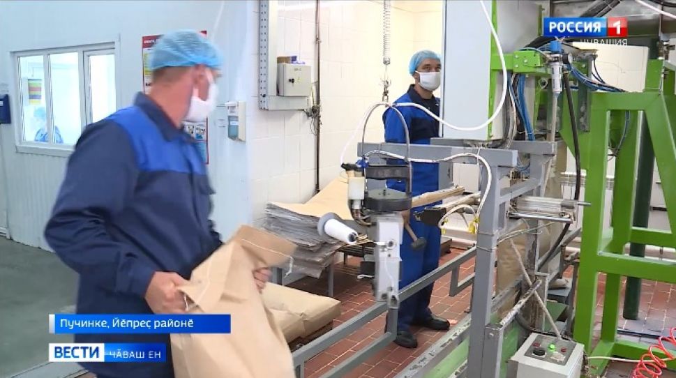 Йӗпреҫ тӑрӑхӗнчи Пучинкери сӗт завочӗ ҫулран-ҫул аталансах пырать