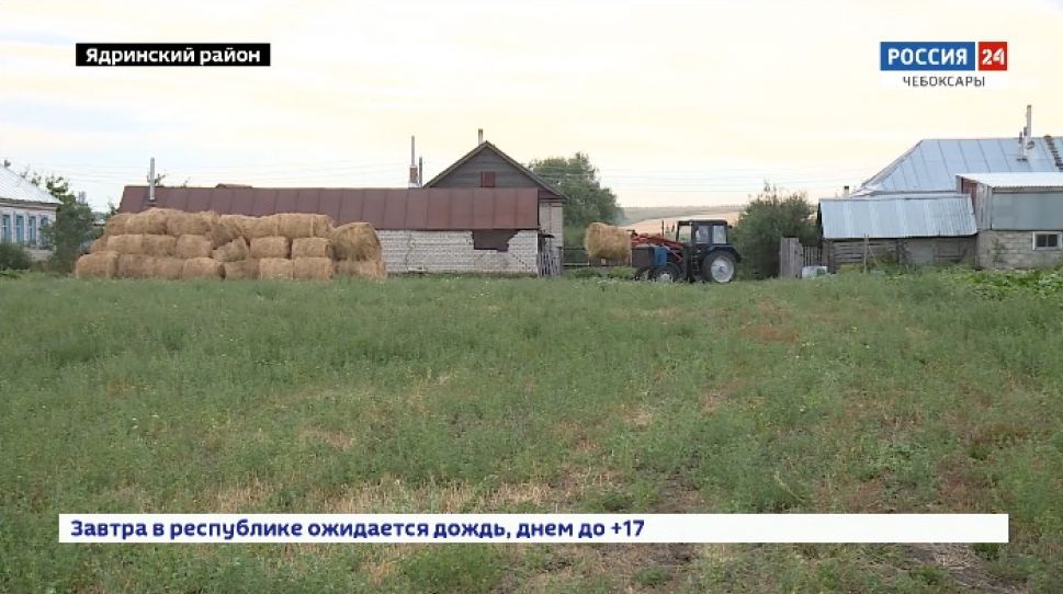 В Чувашии уборка зерновых завершена наполовину