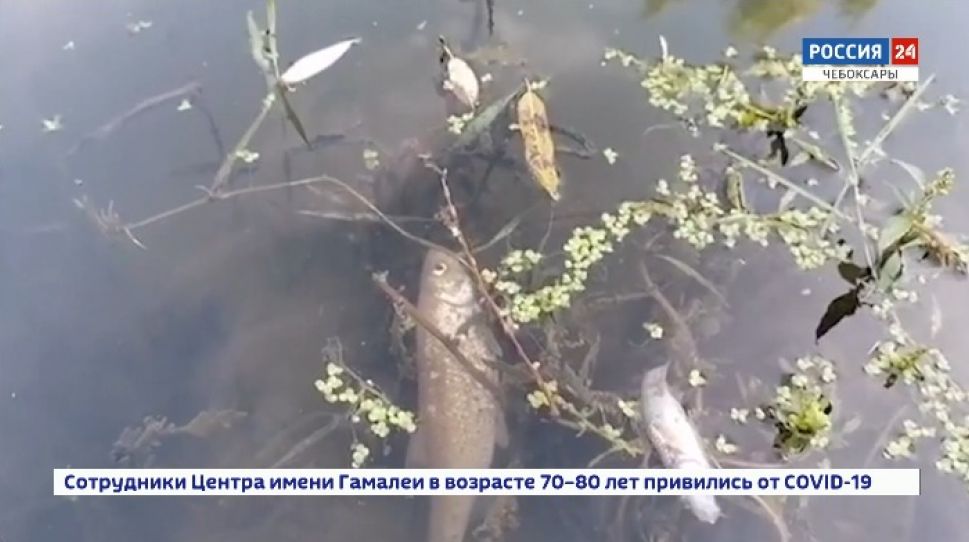 Виновных за сброс канализационных стоков в р. Була оштрафовали на 10 тыс рублей