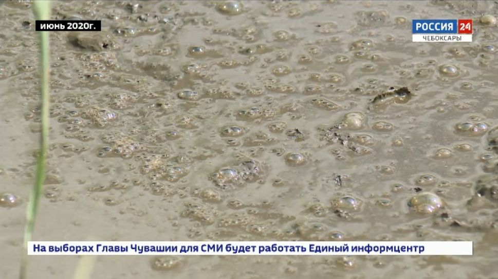 Моргаушскую агрофирму оштрафовали на 3 млн рублей за сброс навоза