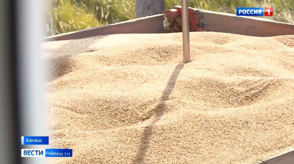 Ҫитес ҫул тулли вӑйпа ӗҫлесе каймалла