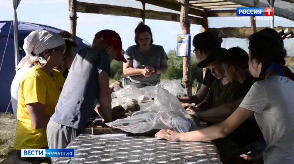В ЧГПУ подвели итоги полевой археологической школы "Детективы прошлого"