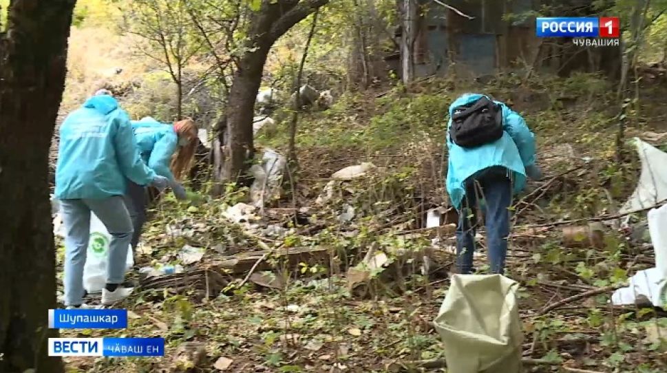Тасалӑх кунӗнче ҫамрӑксемпе ветерансем тавралӑха тирпейлеме тухрӗҫ