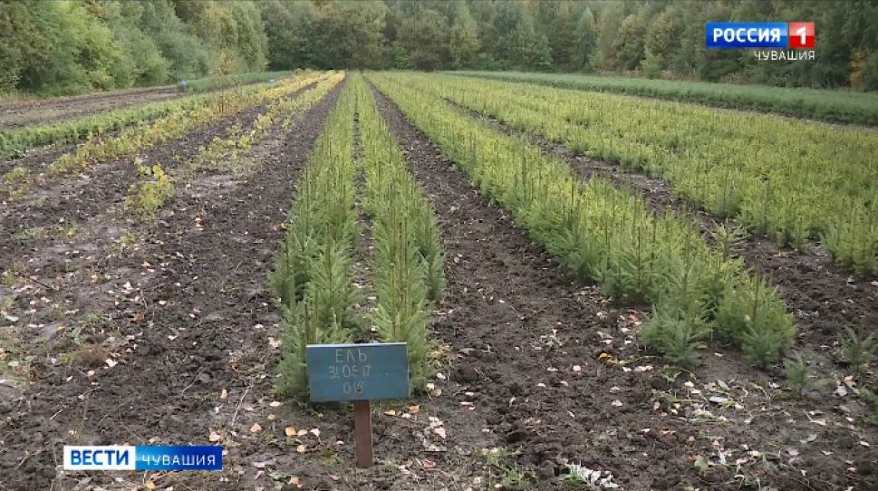 На канале "Россия 1" выйдет новый выпуск передачи "Главная тема"