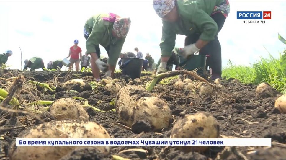 Минсельхоз Чувашии: республика по многим показателям находится в передовиках среди российских регионов