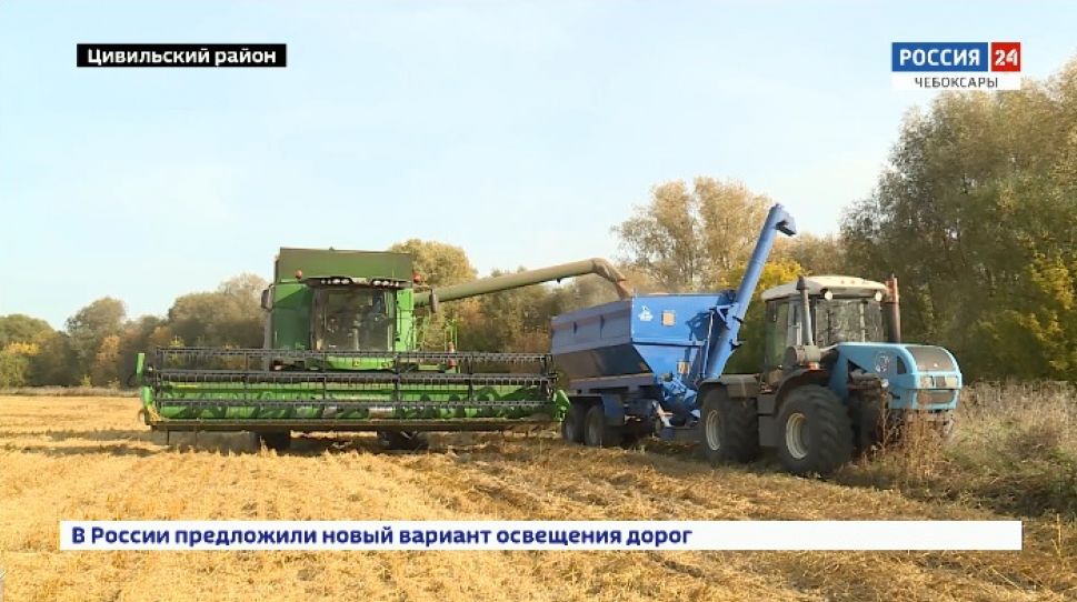 В Чувашии собрали рекордный урожай зерновых