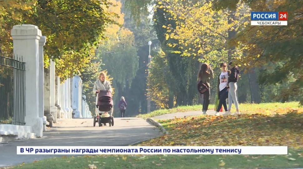 Жители Чувашии стали активно использовать «Инцидент-менеджмент» 