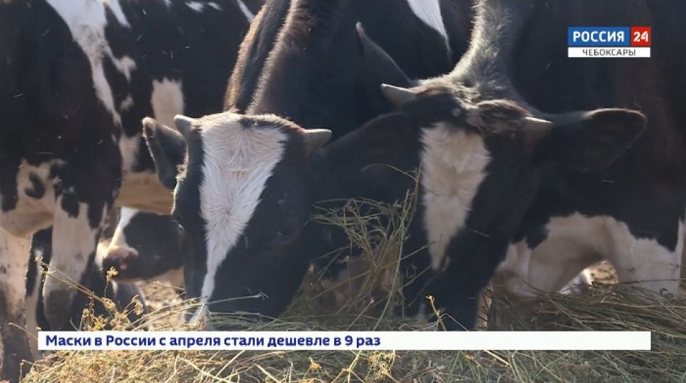 4 октября на канале «Россия 24» выйдет новый выпуск программы «АгроЧувашия»